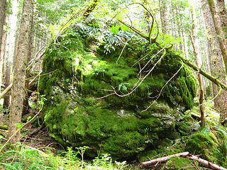 giant mossy boulder