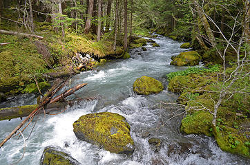 Royal Creek from log bridge