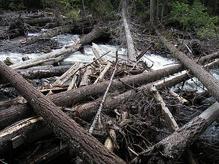 Log tangle, N. Fork Canyon Cr. 2007