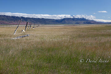 Steens range from Borax lake