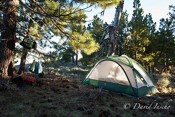Pine Mtn. camp