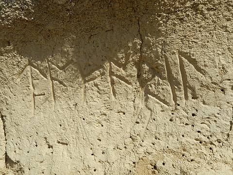 Tolkien runes in dirt (fellow nerds please interpret)