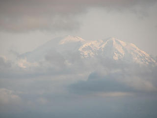 Mt Rainier floats over the clouds