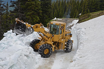 clearing road at ~ 5650 ft 2