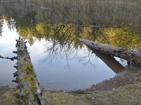 Round Lake Reflection