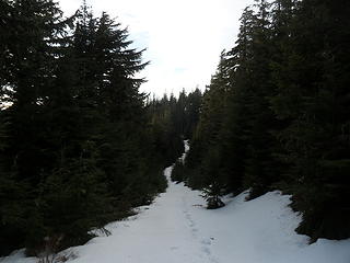 proceeding along the ridge spur road following another set of tracks