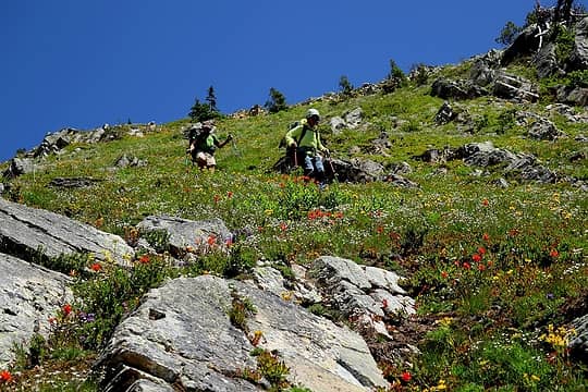 Descending steep upper meadows mixed with flowers and rocks.