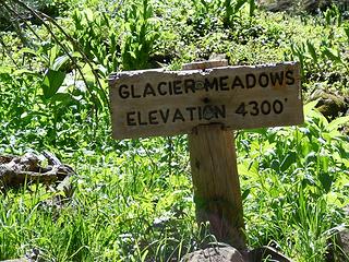 "Glacier Meadows Campsite Sign"