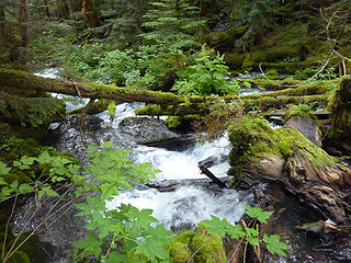 Big Quilcene River