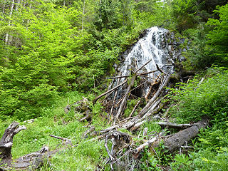 Trailside waterfall