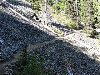 Trail crosses avalanche area a little past Crystal Creek crossing.