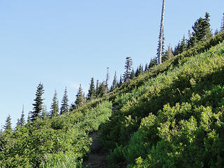 Crystal Peak trail nearing snag/snow area.