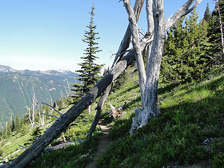 Looking back down Crystal Peak trail.