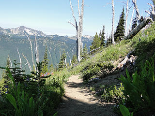 Walking down Crystal Peak trail.