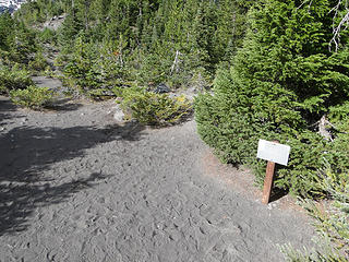 Emmons Moraine end of maintained trail.