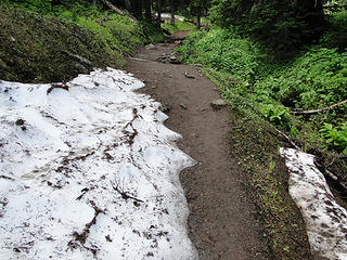 Glacier Basin trail second sign of snow.