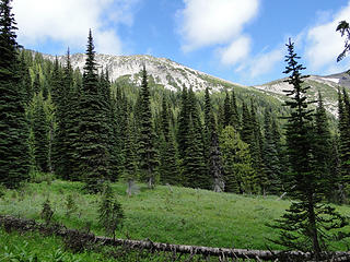 Meadows on Glacier Basin trail.