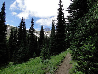 Glacier Basin trail.