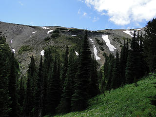 Views from Glacier Basin trail.