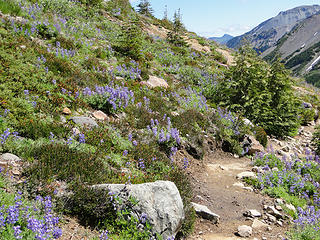 Views from trail above Glacier Basin.