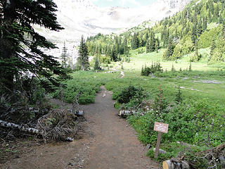 End of maintained trail in Glacier Basin.