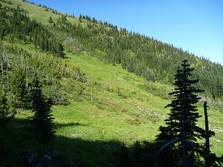 Meadow on left flank of Anacortes ridge