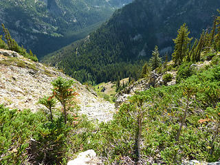 Looking down the gully, you can see the trail  from the top, it's 1400' down, steep, but no cliff bands.
