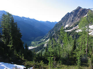 Spider Meadows from Larch Knob