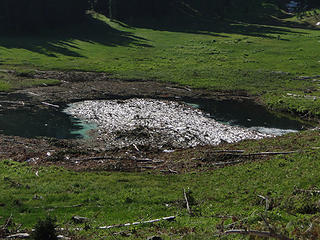 Avy debris in smaller lake.