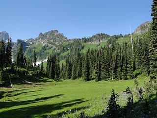 Meadows from Owyhigh Lakes trail.