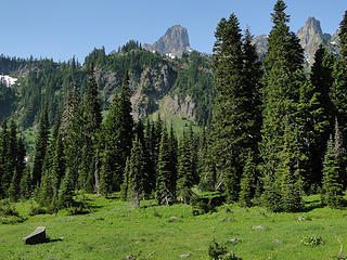 Meadows on Owyhigh Lakes trail.