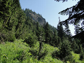 Meadows on Owyhigh Lakes trail.