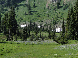 Meadows from Owyhigh Lakes trail.
