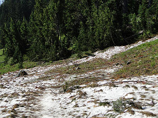 Remnants of avy debris/snow on Owyhigh Lakes trail just above the lakes.