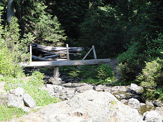 Log bridge from my lunch retreat near the creek just off the trail.
