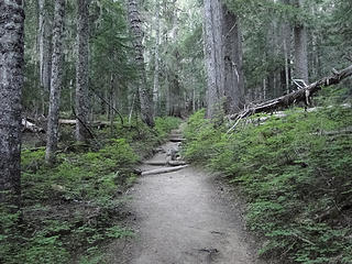 Lower trail to Summerland.