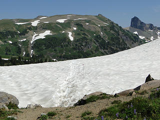 Snowfield on way back from Panhandle Gap.