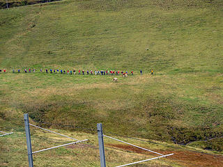 large-hiking-group