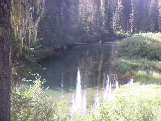 peaceful Cooper River