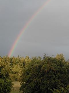 Backyard Rainbow