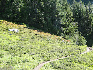 Looking back down trail to Knapsack Pass.