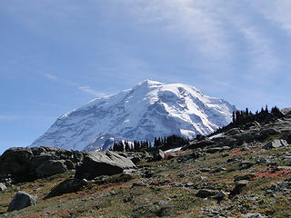 Rainier from trail down from Knapsack Pass.