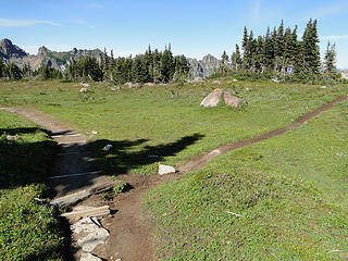 Trail from Knapsack Pass meets main Spray Park trail.
