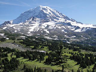 Rainier from trail to Spray Park from Knapsack Pass.