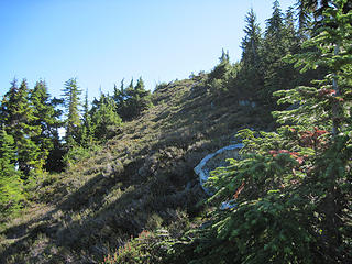 Last heather slopes to the summit