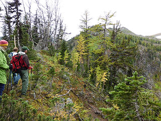 off trail route arriving at larch areas
