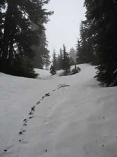 Steep section of trail covered with snow.