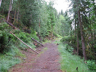 "Trail" from trail to logging road back to trail.