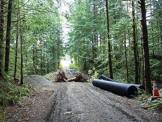 The reason the road is closed!  There's a 15' deep 10' wide "ditch" beyond those tree stumps!