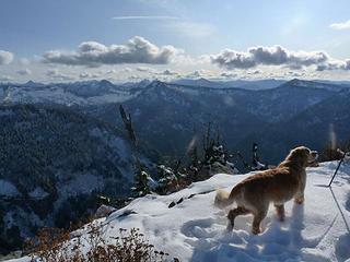 Gus enjoying the views on the top of Bare with a remnant of the old lookout